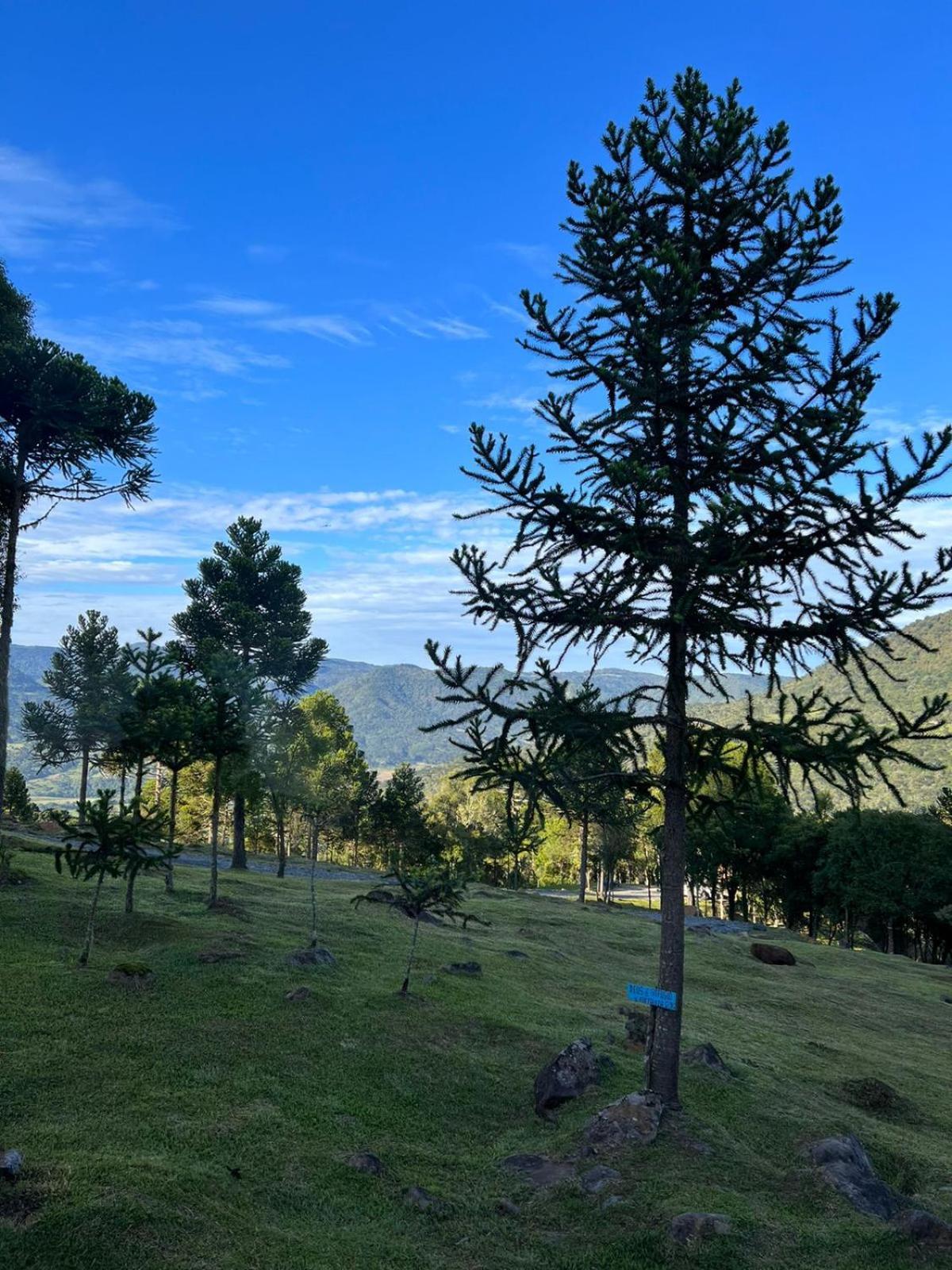 Refúgio - Colina Dos Ventos Lodge